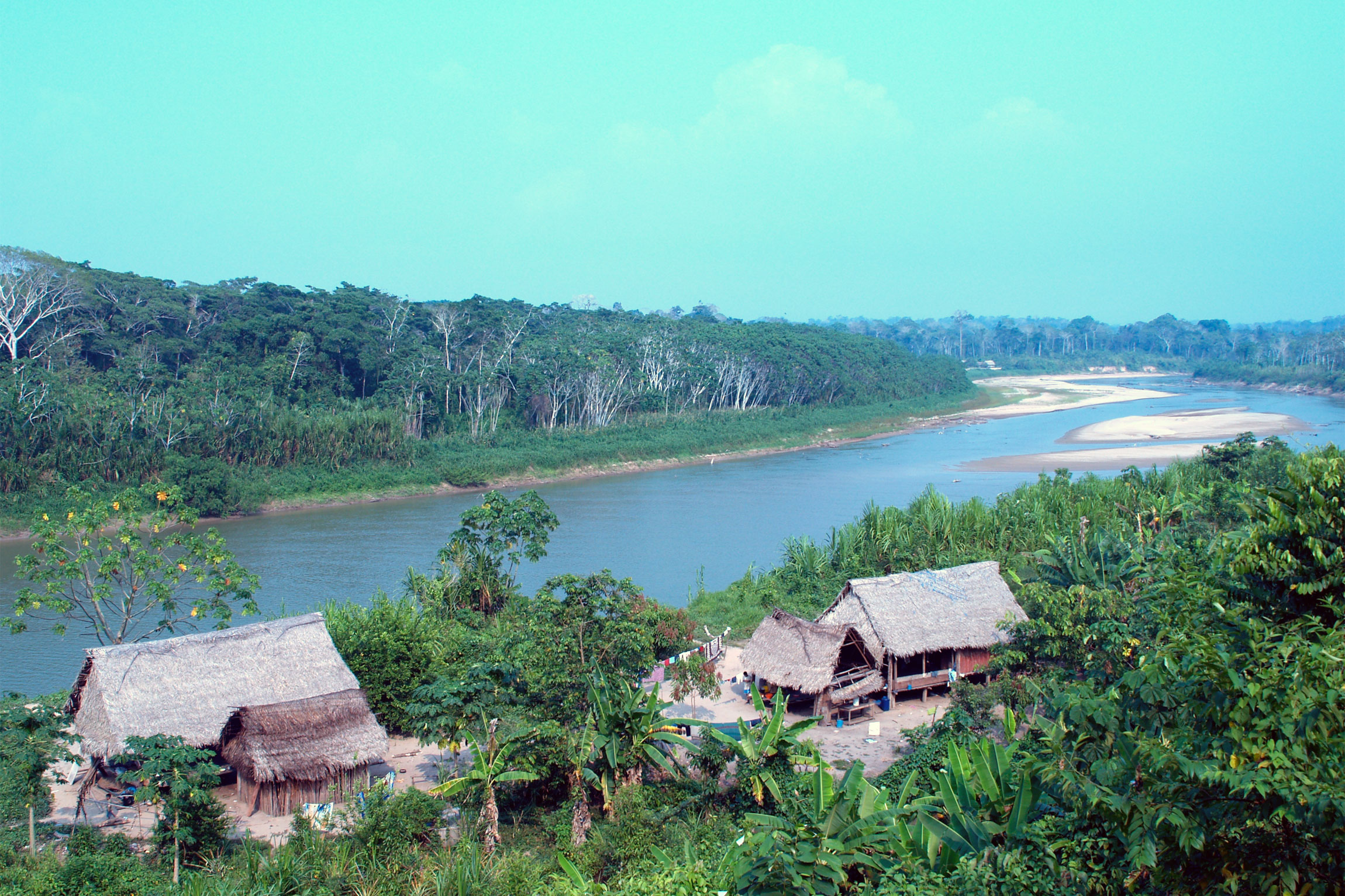 Alto Purus National Park Reef And Rainforest Tours