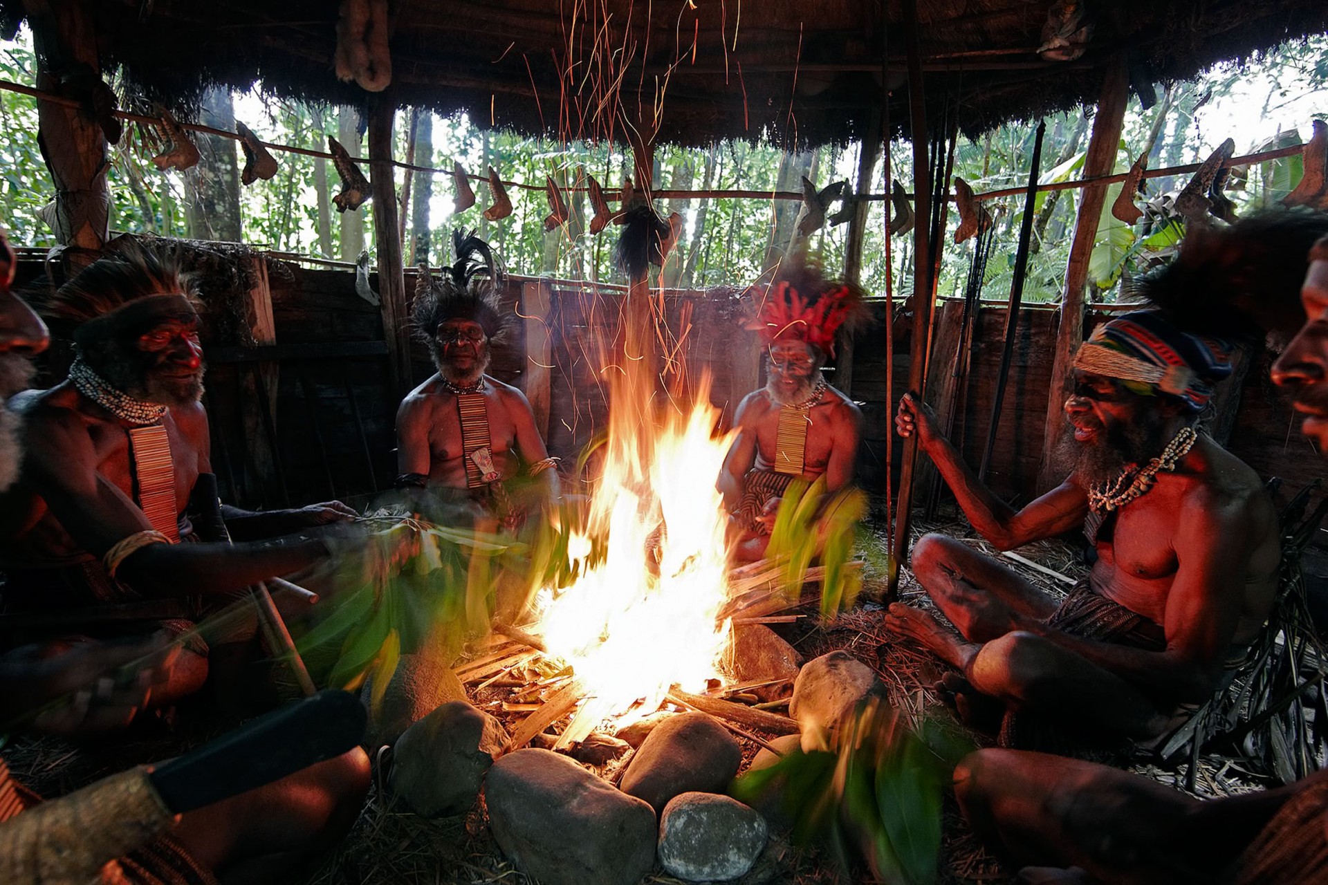 Время в папуа новая гвинея. Путешествие в новую Гвинею. Tribal Land. Wild Cultures. Tribe Land animated.