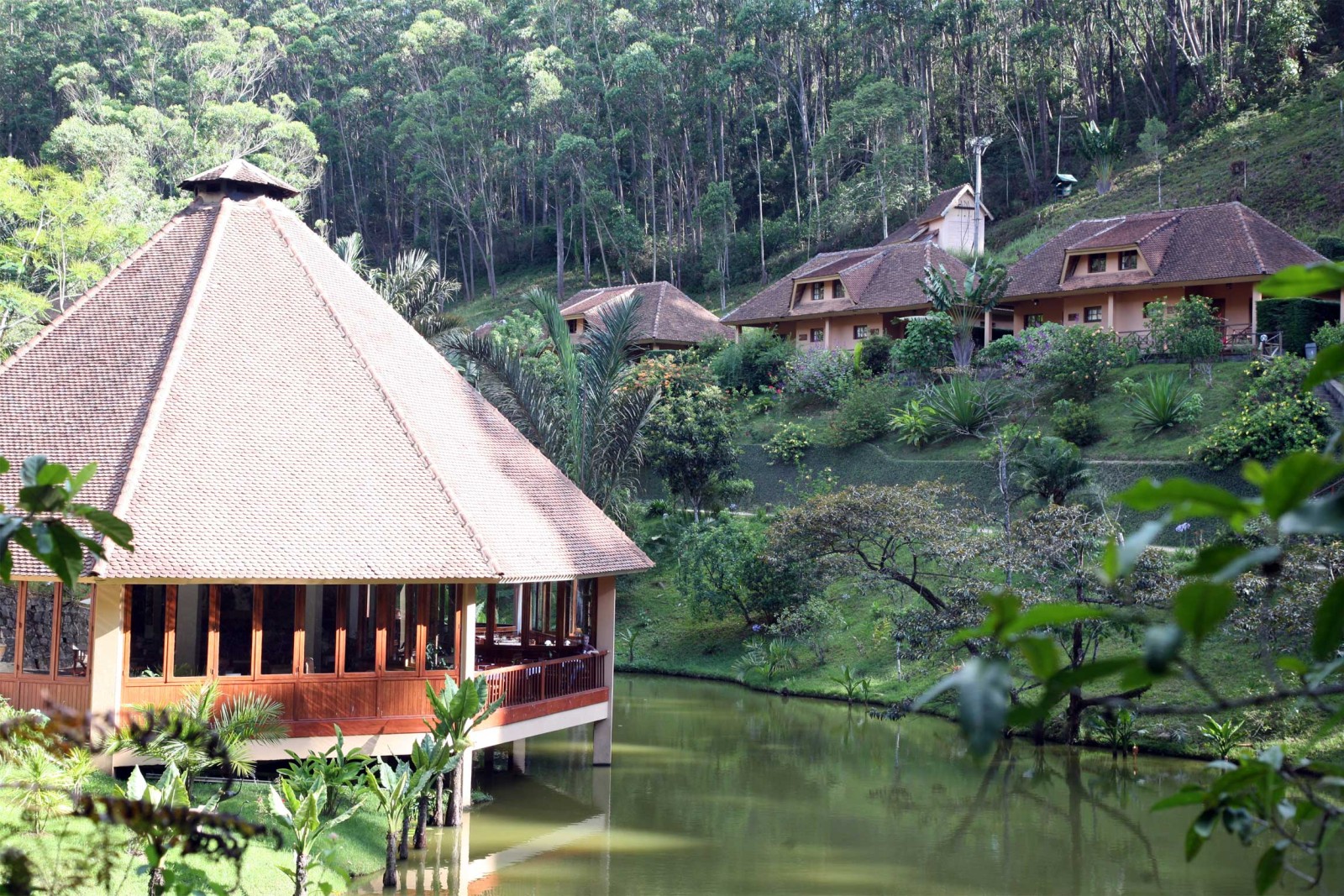 Vakona Forest Lodge - Reef and Rainforest Tours