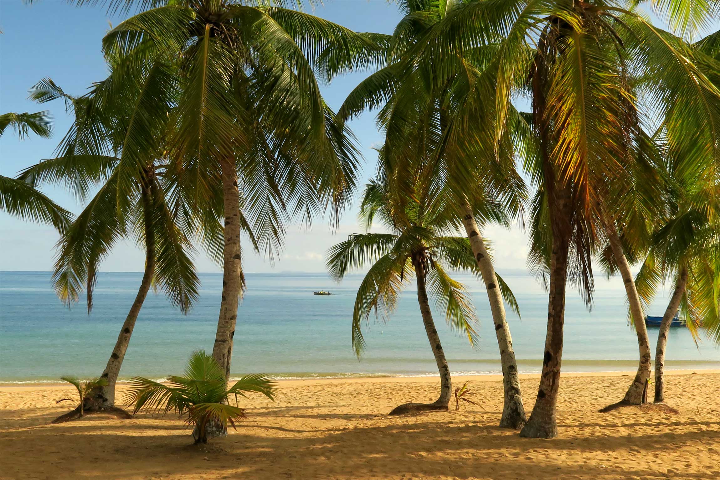 Eden Lodge - Reef and Rainforest Tours