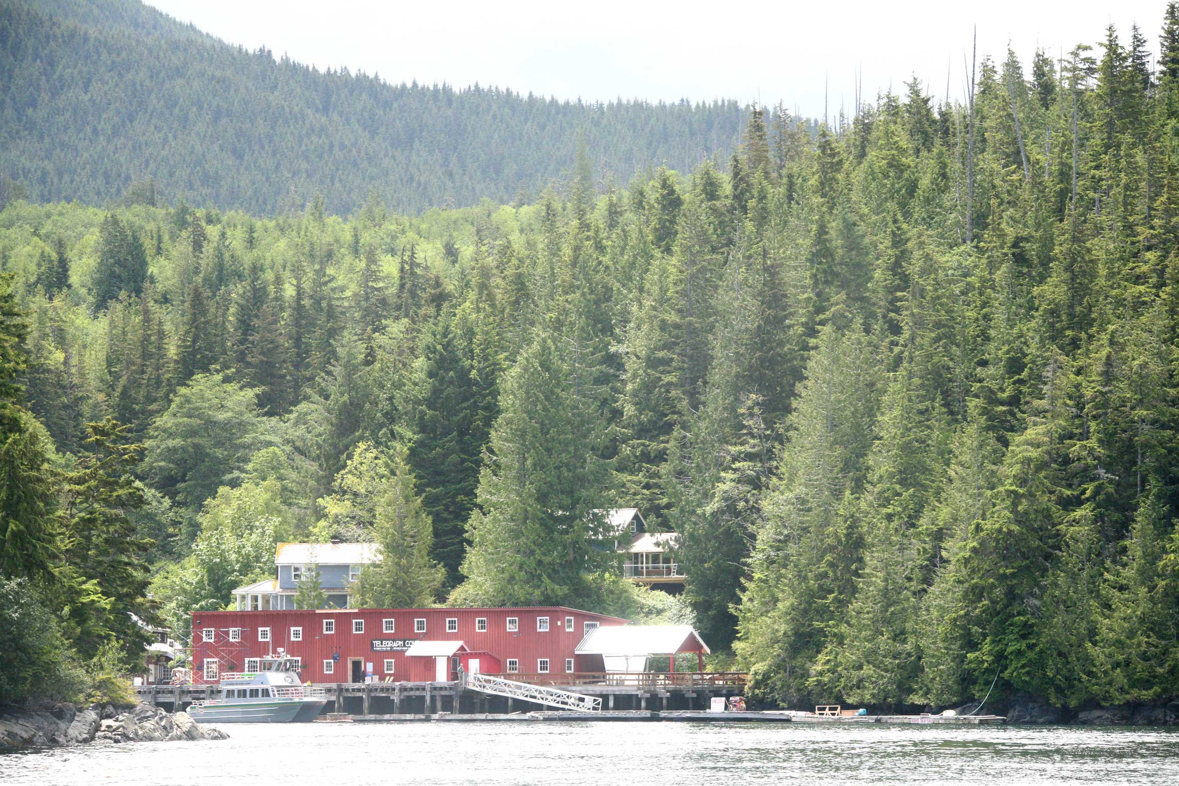 Telegraph Cove Resort - Reef and Rainforest Tours