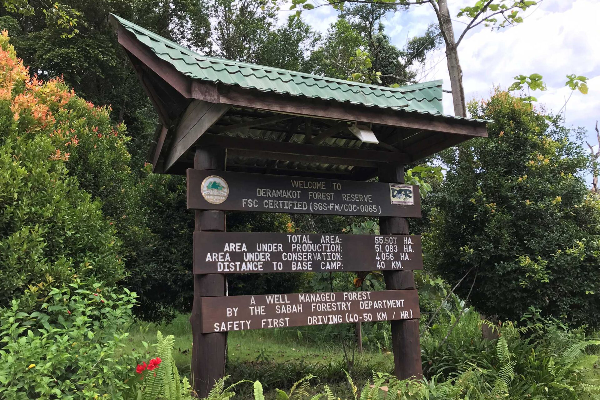 Deramakot Forest Reserve - Reef And Rainforest Tours